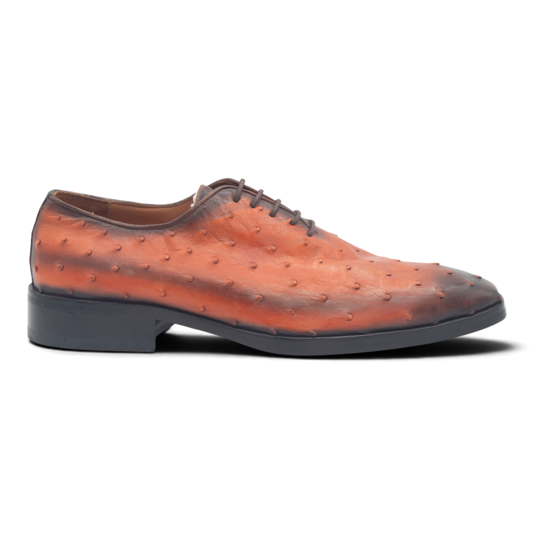 Samian