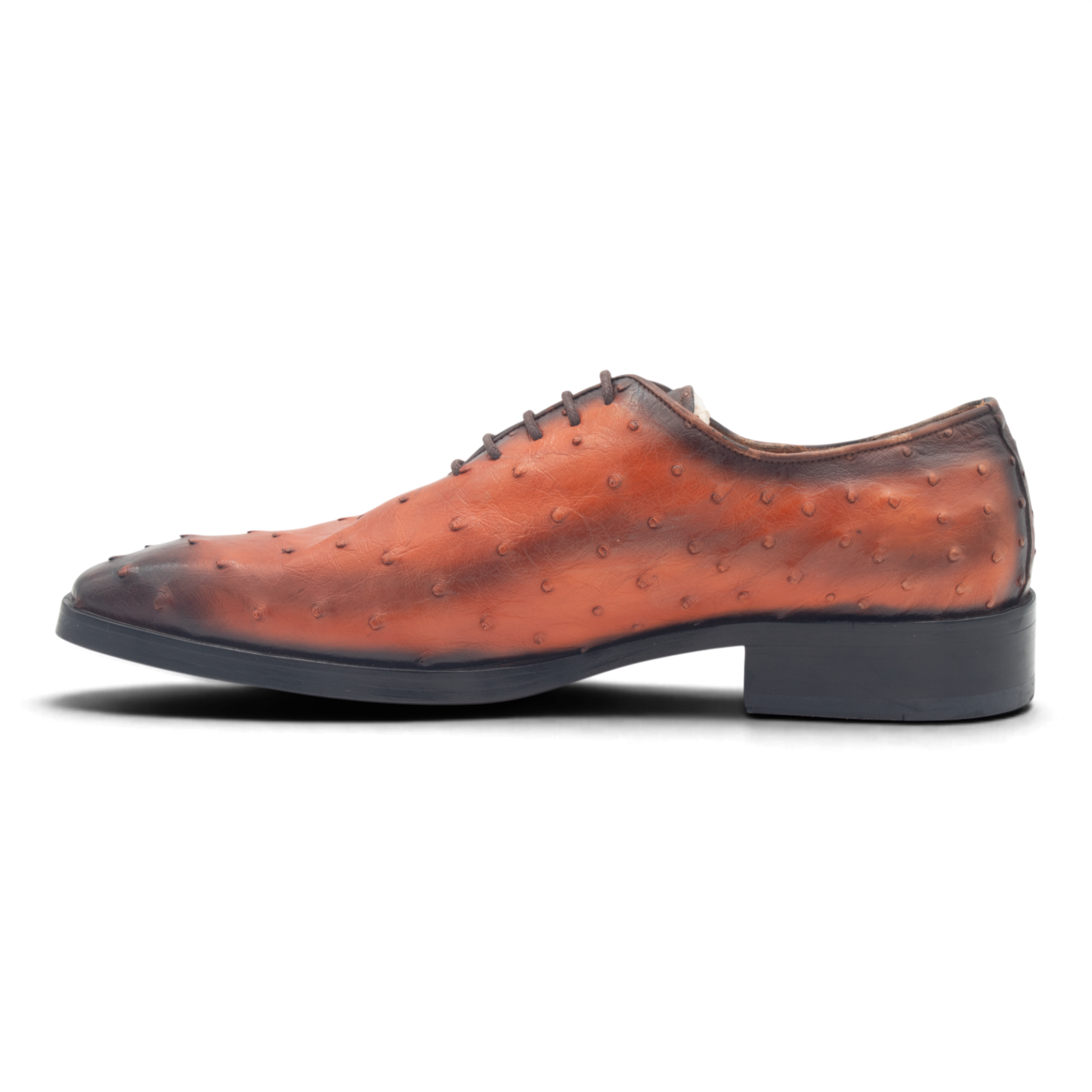 Samian